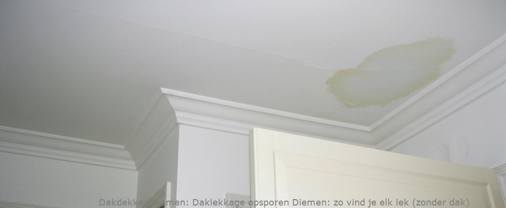 Daklekkage Opsporen Diemen 1