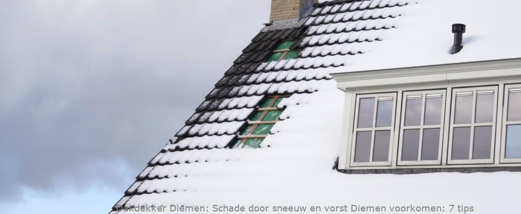 Schade Door Sneeuw En Vorst Diemen