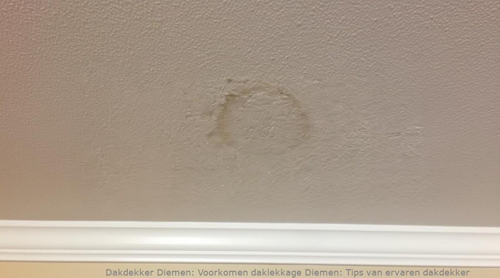 Voorkomen Daklekkage Diemen