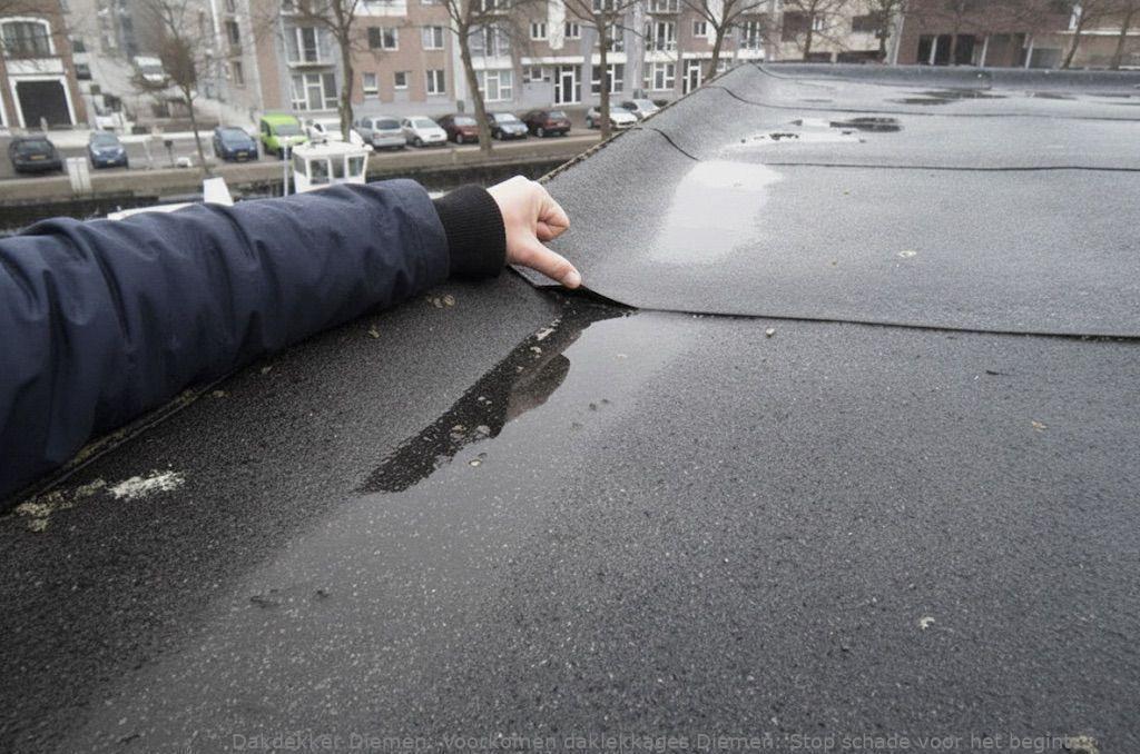 Voorkomen Daklekkages Diemen